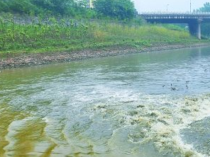 满城污水清运多少钱